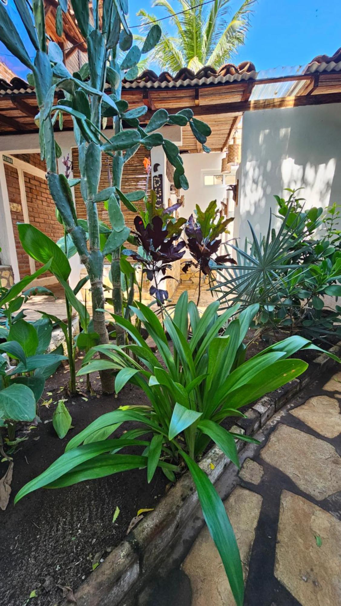 Mano A Mano Eco Hostal ลาส เปนีตาส ภายนอก รูปภาพ