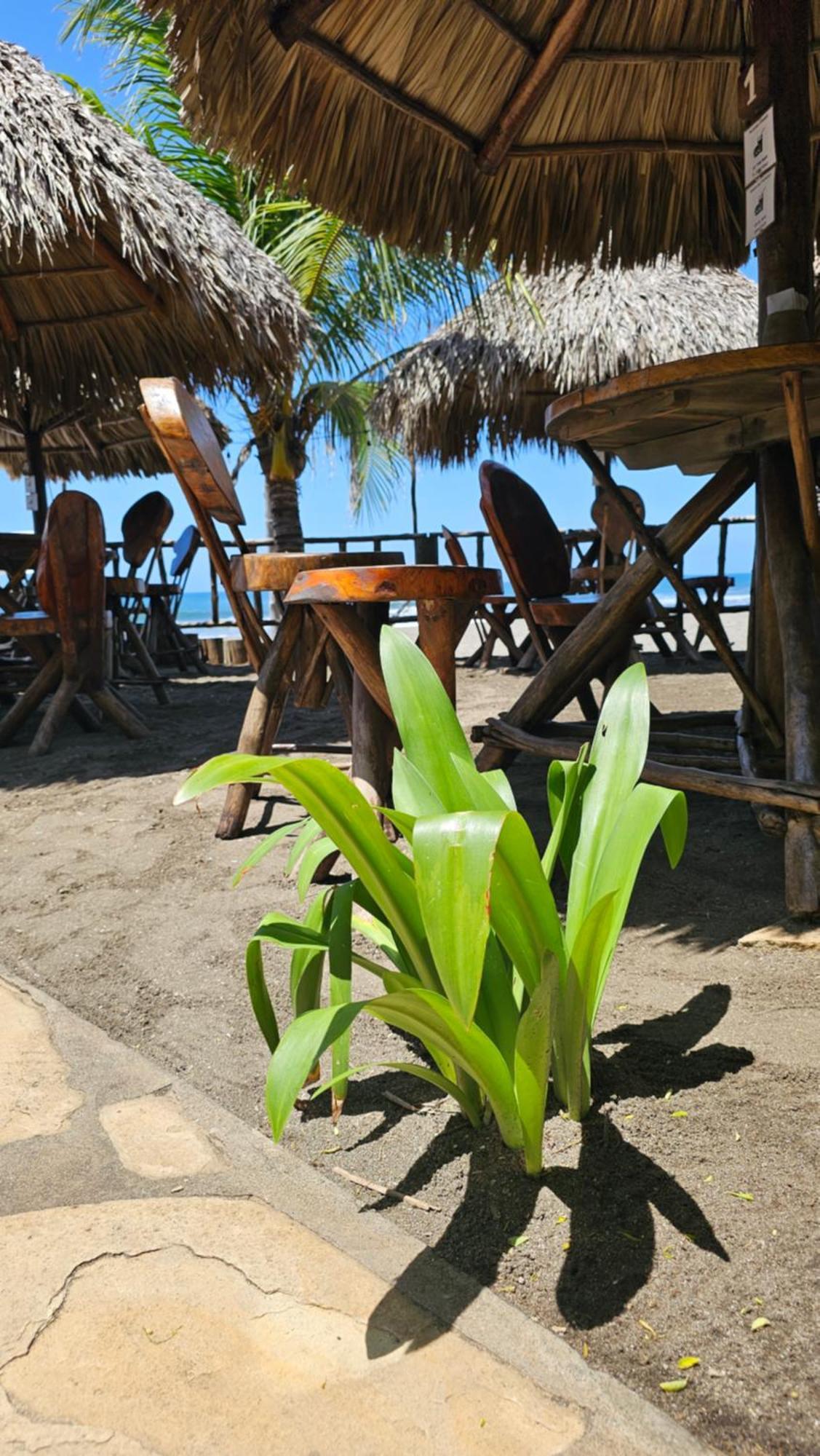 Mano A Mano Eco Hostal ลาส เปนีตาส ภายนอก รูปภาพ
